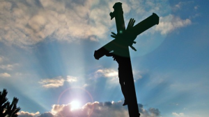 Bild der Veranstaltung