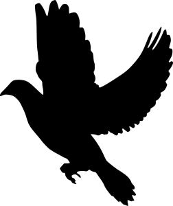 Bild der Veranstaltung